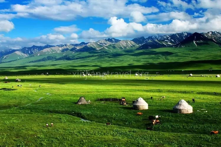 nalati grassland.jpeg