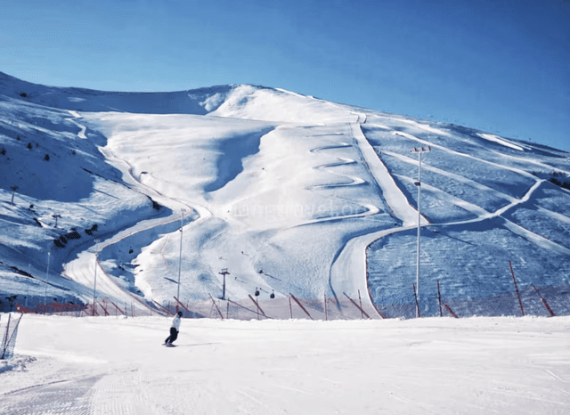 ski in Xinjiang.png