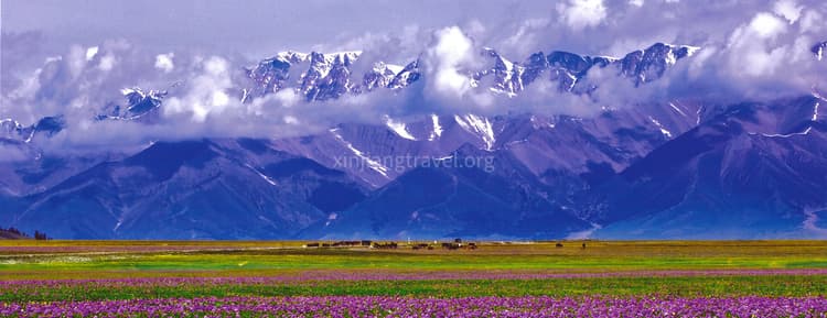 tekes-kalajun-grassland.jpg