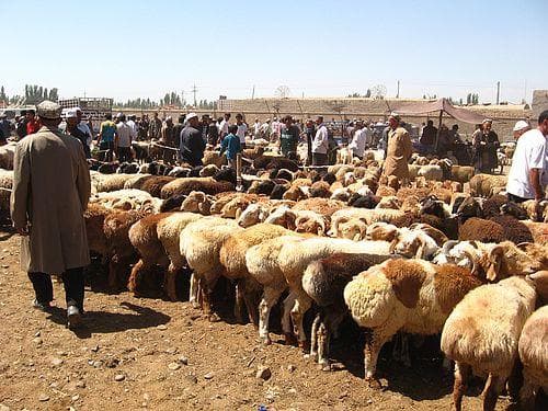 sunday-bazaar.jpg