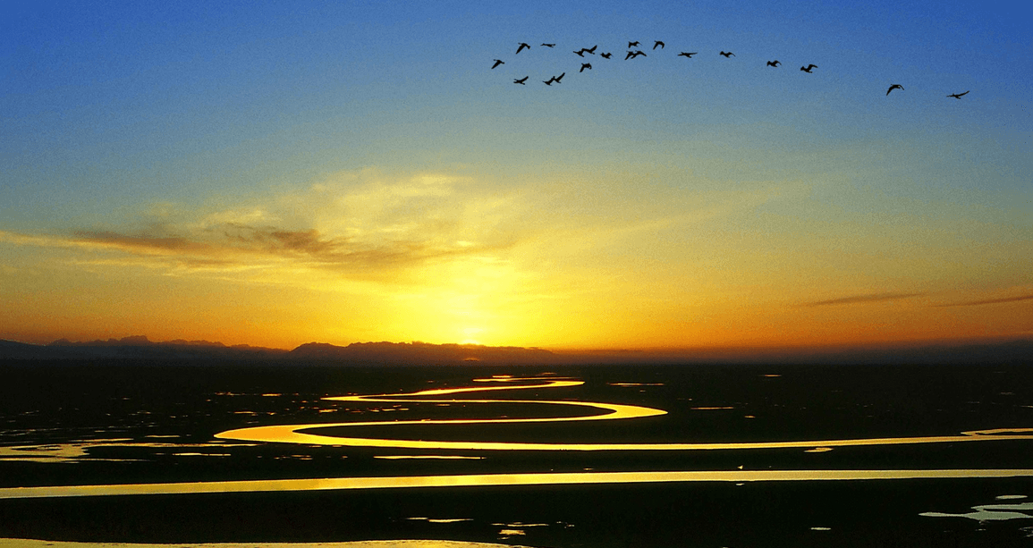 swan-lake.png