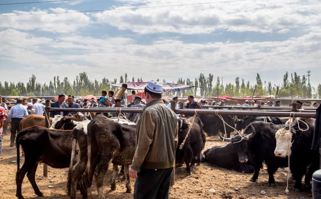 kashgar-7.jpg