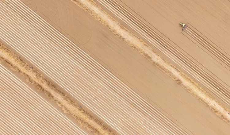 xinjiang-cotton-3.jpg