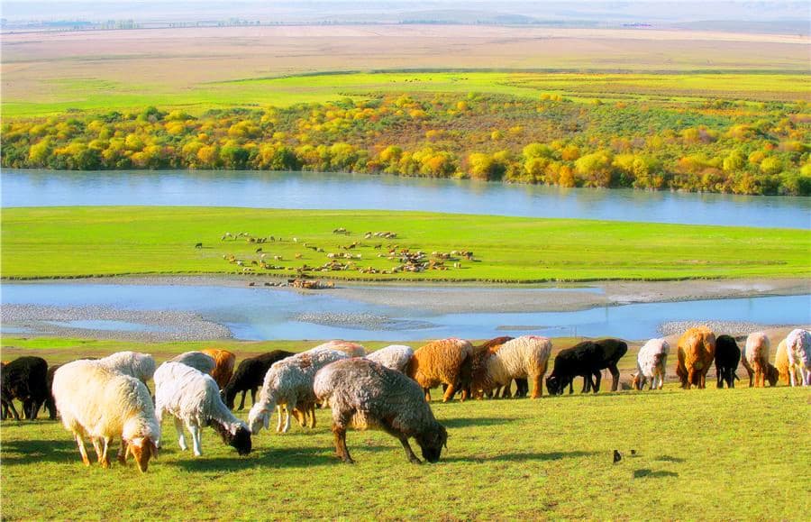 Wetland Park