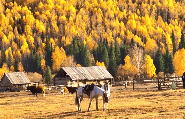 Hemu Village