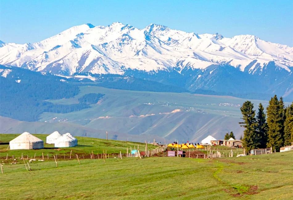 Tarim Scenic Area