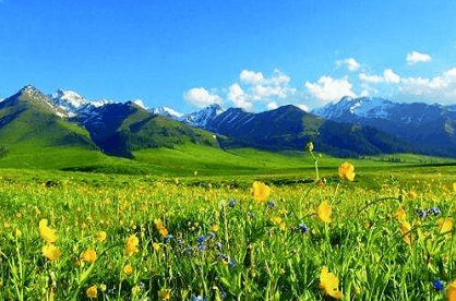 Nalati Grassland
