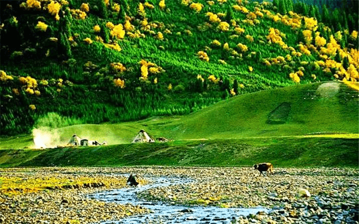 Nalati Grassland