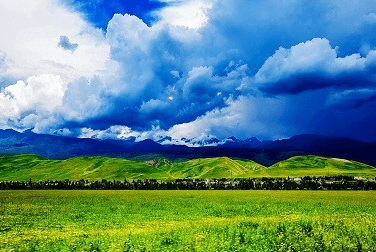 Narat Grassland