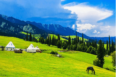 Narat Grassland