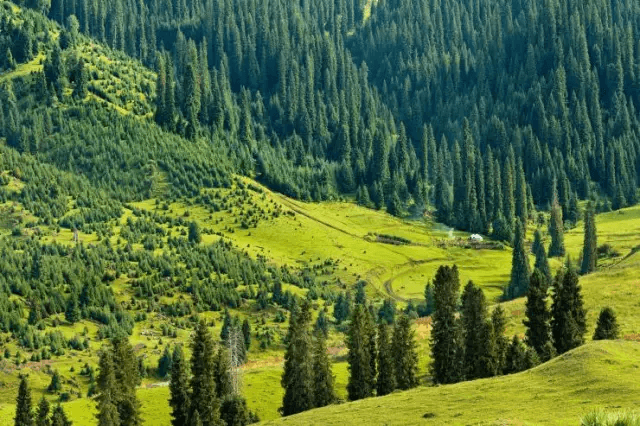 Kurdening Park