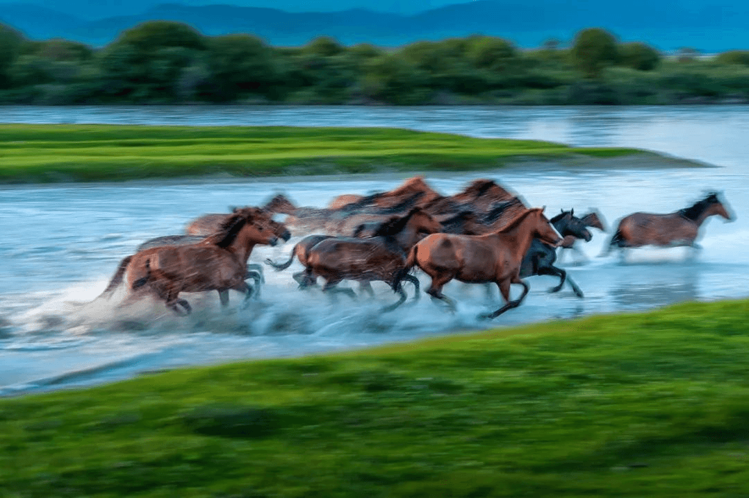 Wetland Park