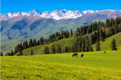 Riding On Grassland