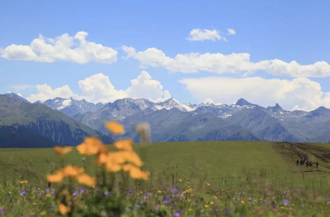 Zhaosu Grassland