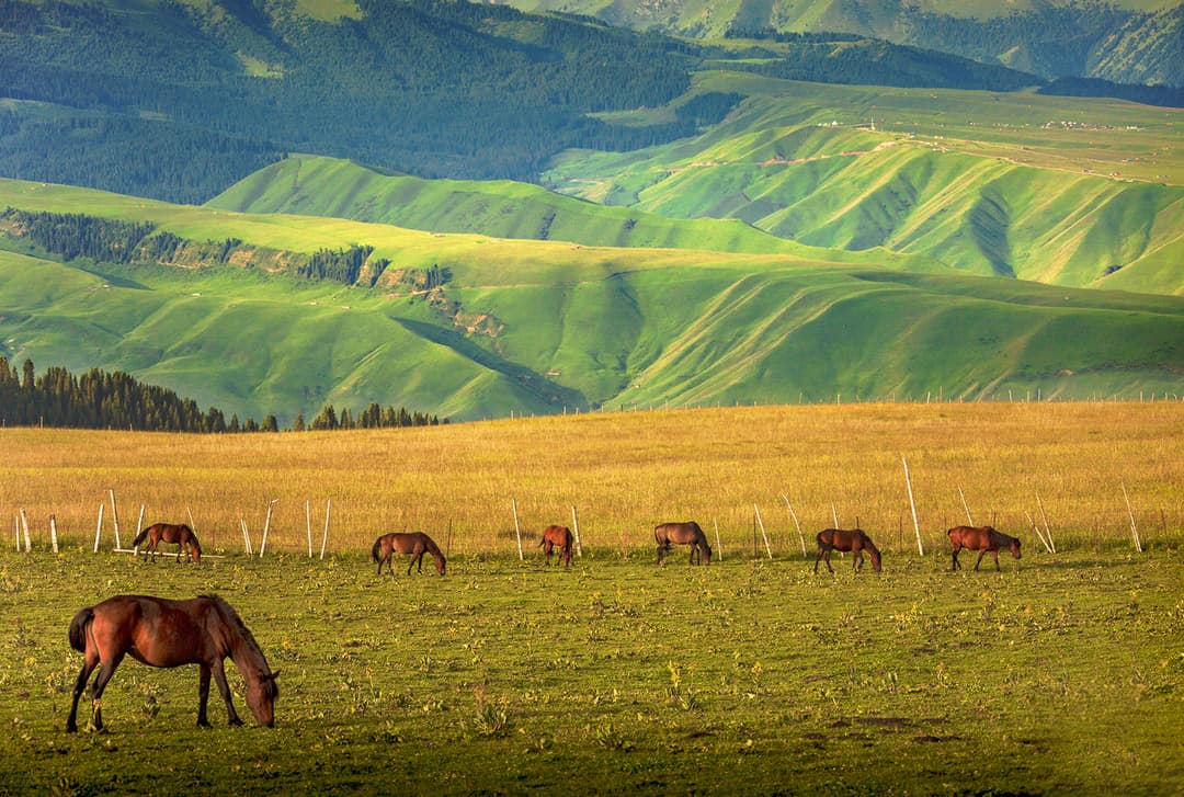Karajun Prairie