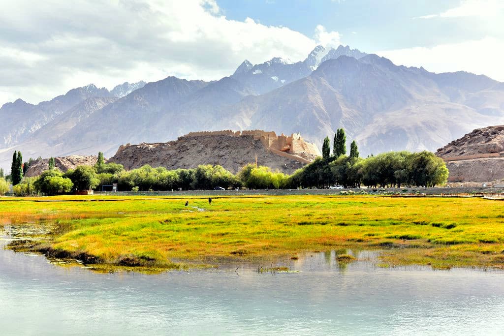 Stone Fortress& Golden Grassland