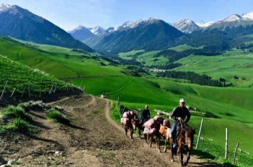 Riding On Grassland