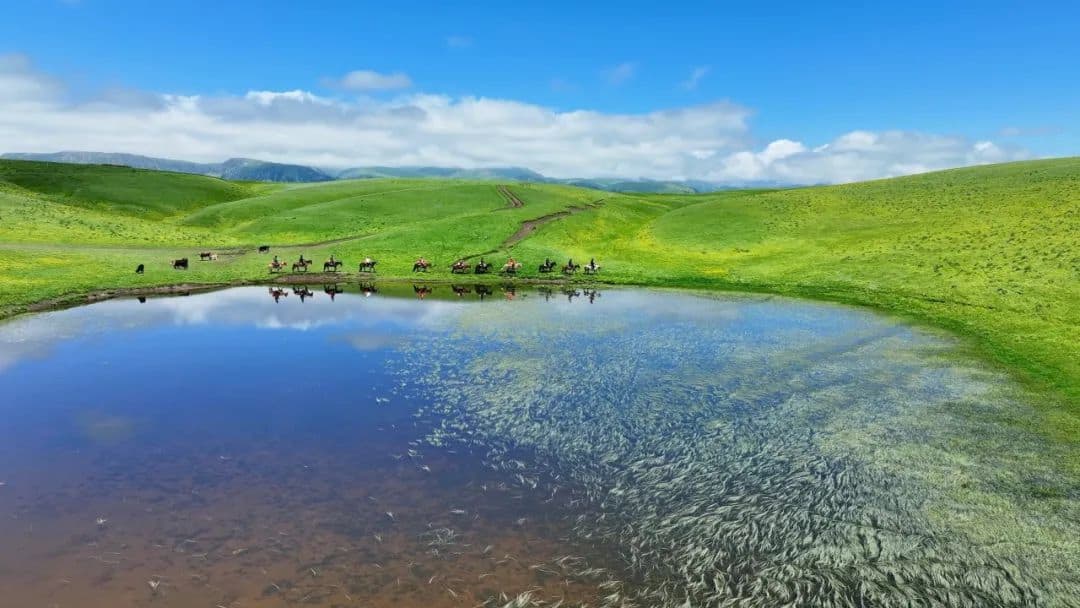 Little Paradise Lake