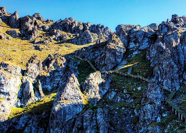 Maya Mountains