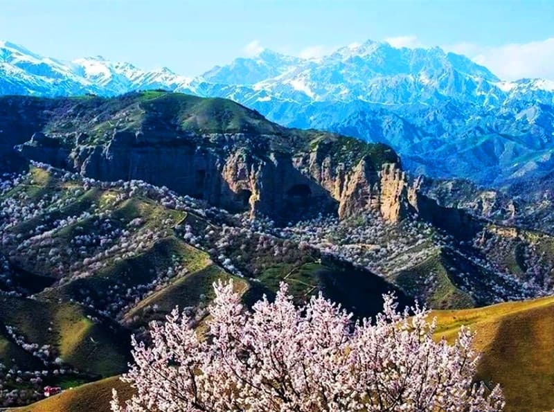 Fushou Mountain