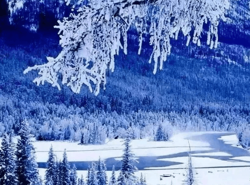 Kanas Nature Reserve