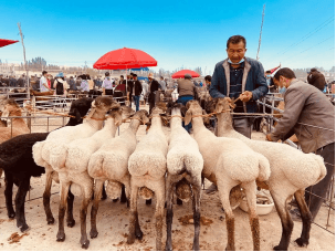 Sunday Bazaar