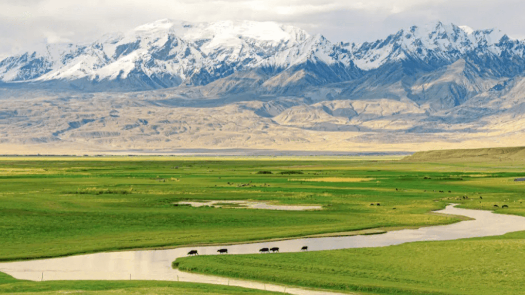 Tahman Wetland