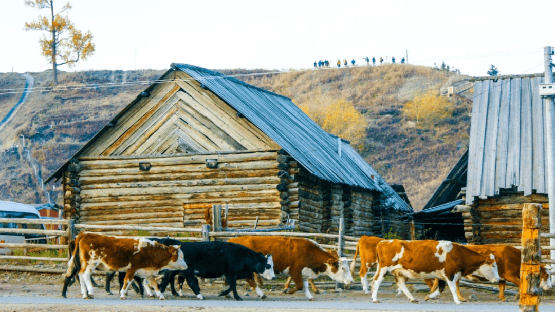 Tiereketi Township