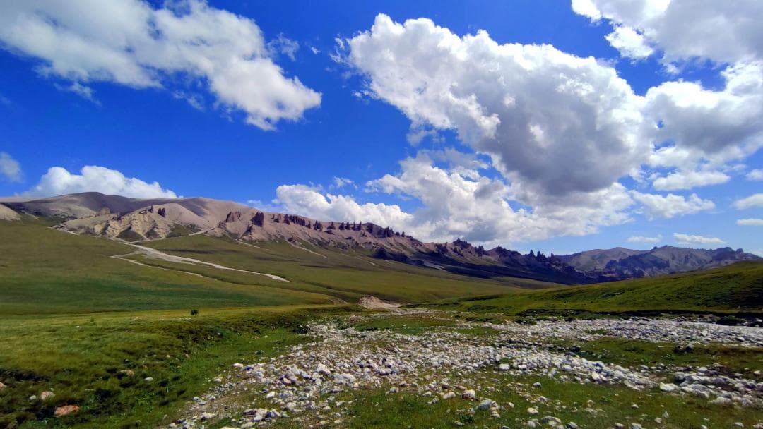 Hoyitas Pasture