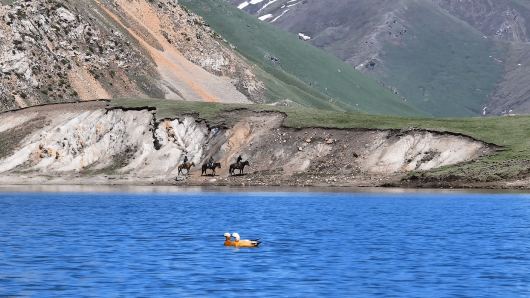 Horseshoe Lake