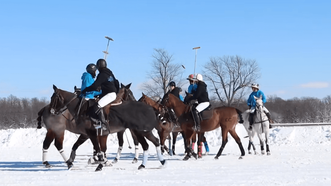 Snow Polo Match