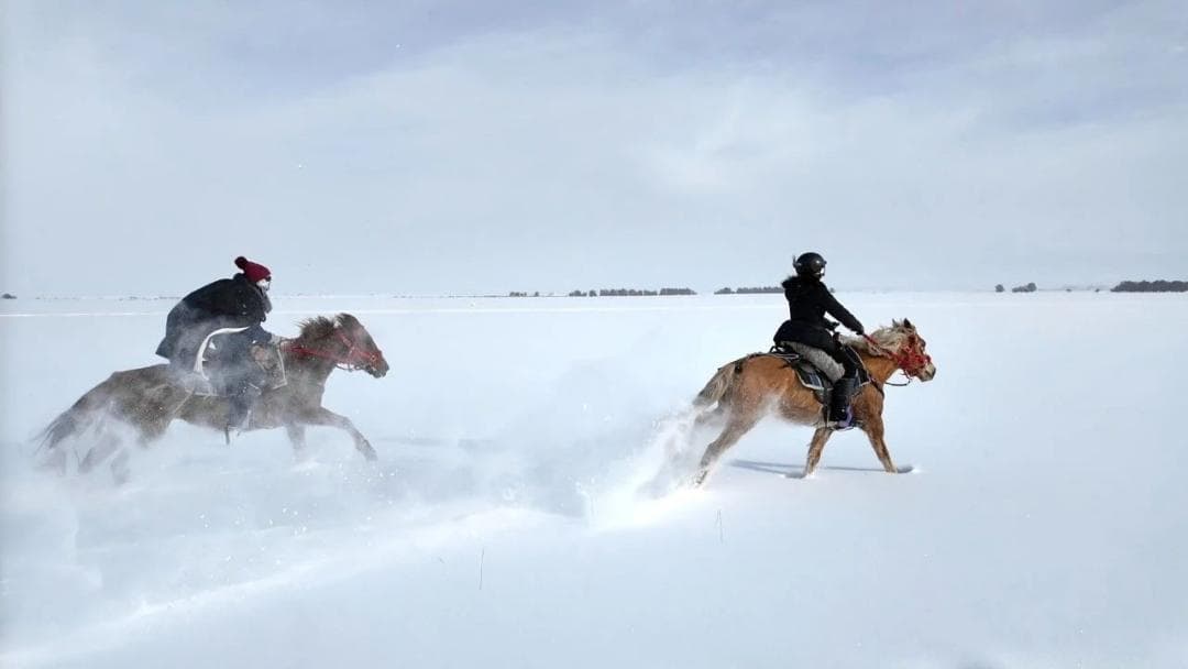 Horseback Riding