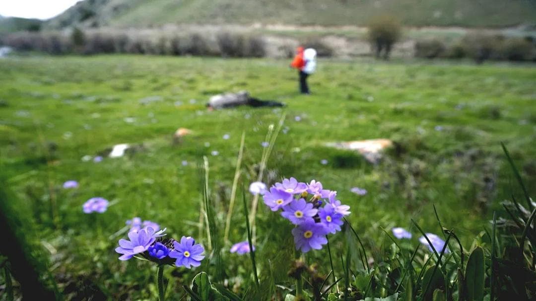 Arshan Valley Camp