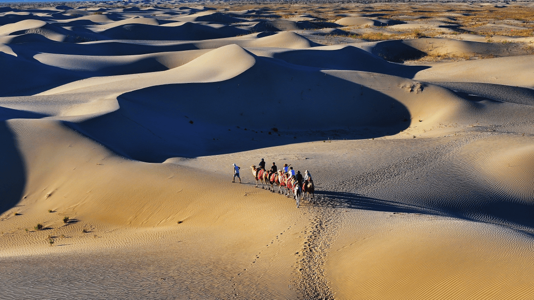 N39 Desert