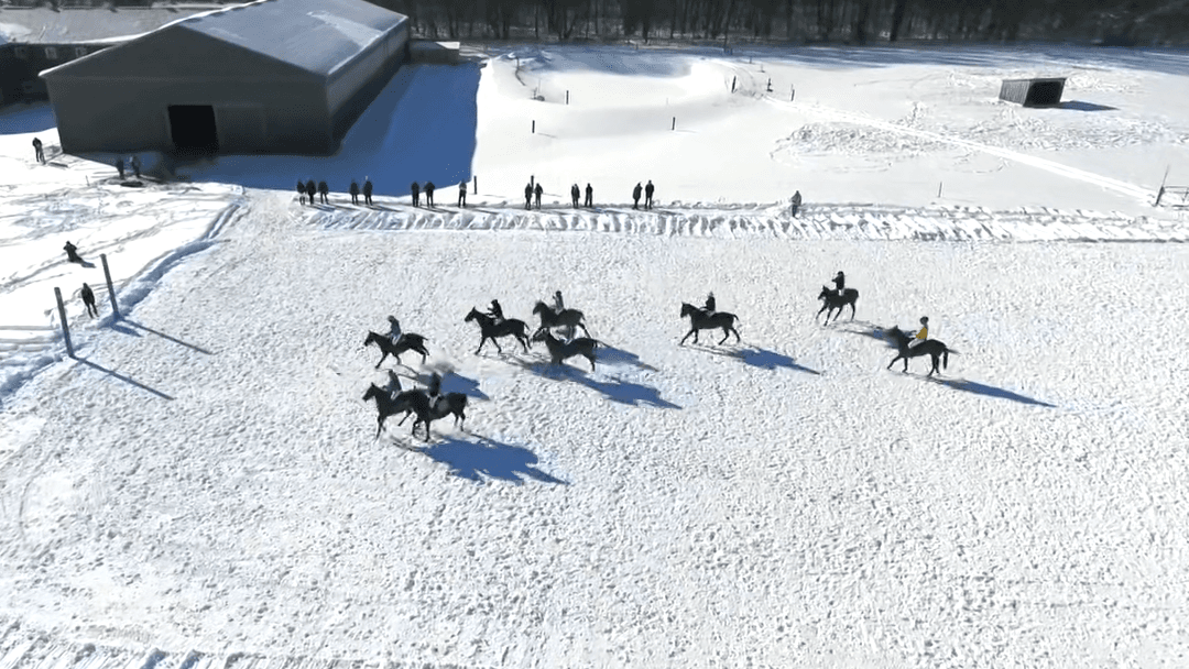 Snow Polo Match