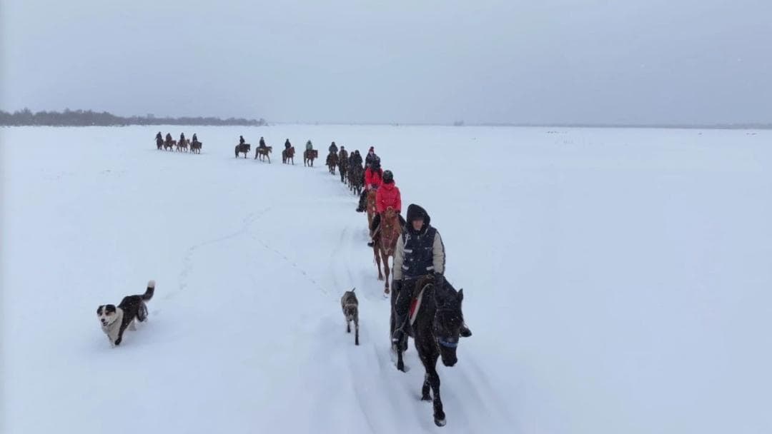 Horseback Riding
