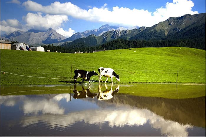 Jiangbulake Prairie
