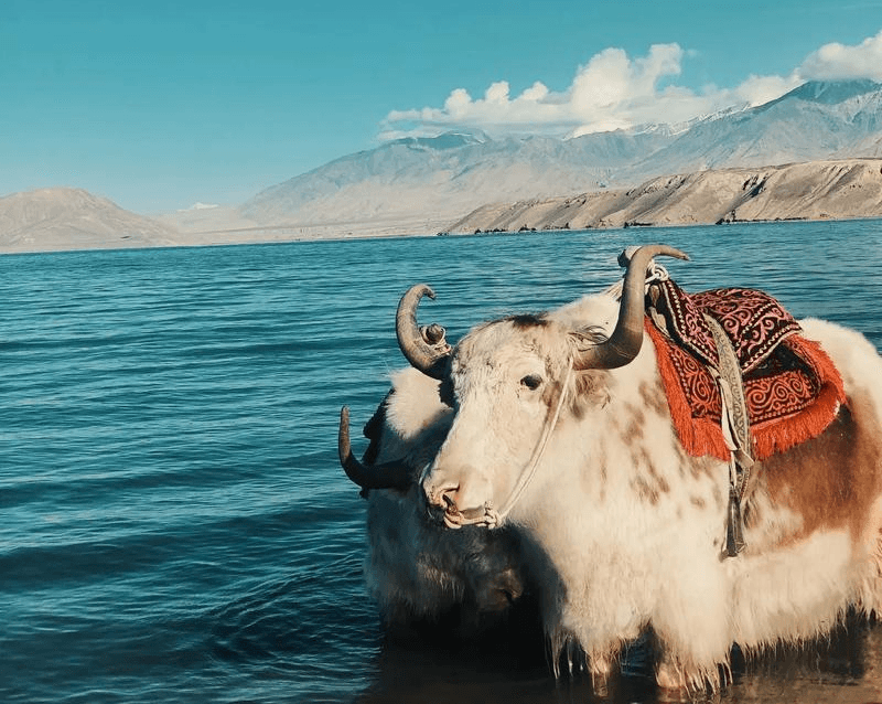Karakul Lake