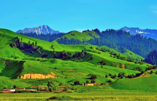 Narat Prairie