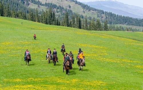 East Tianshan Prairie