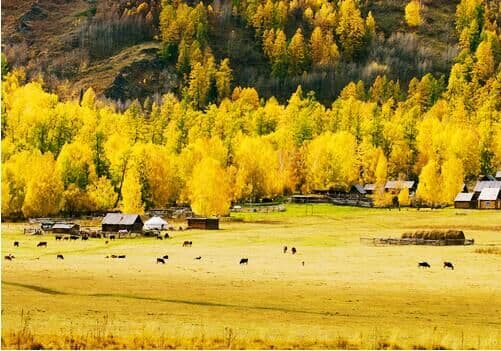 Hemu Village