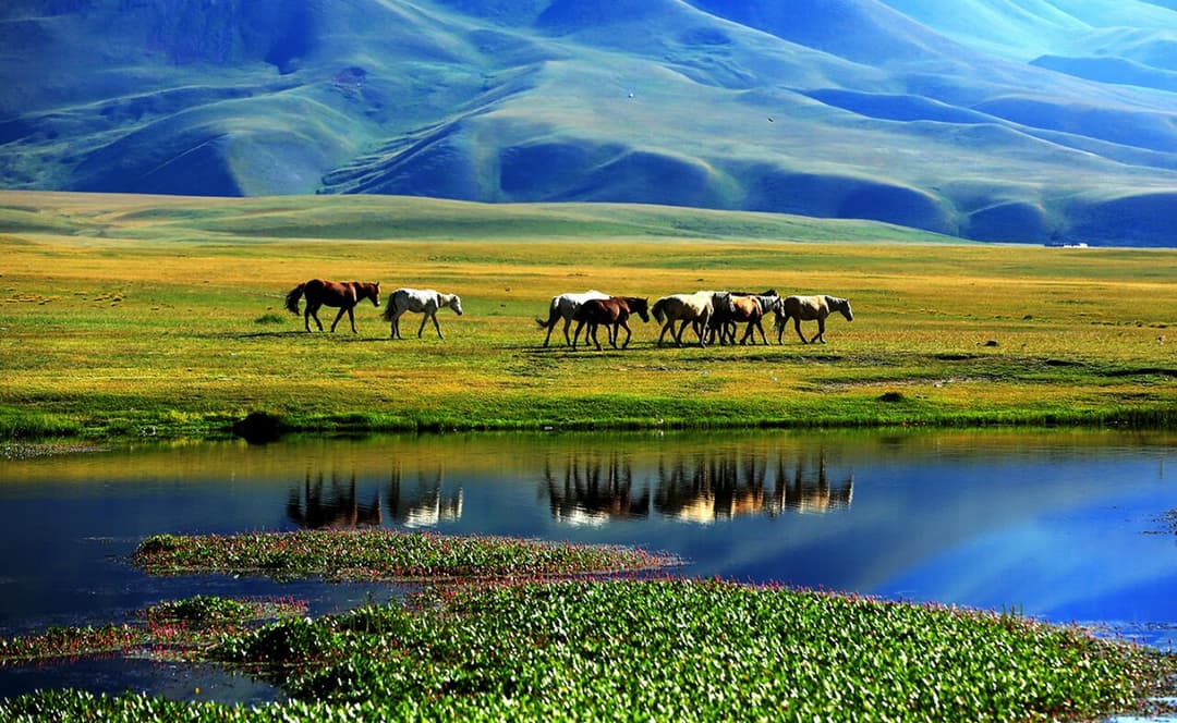 Bayinbuluk
