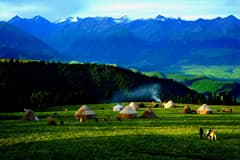 Naraty Grassland