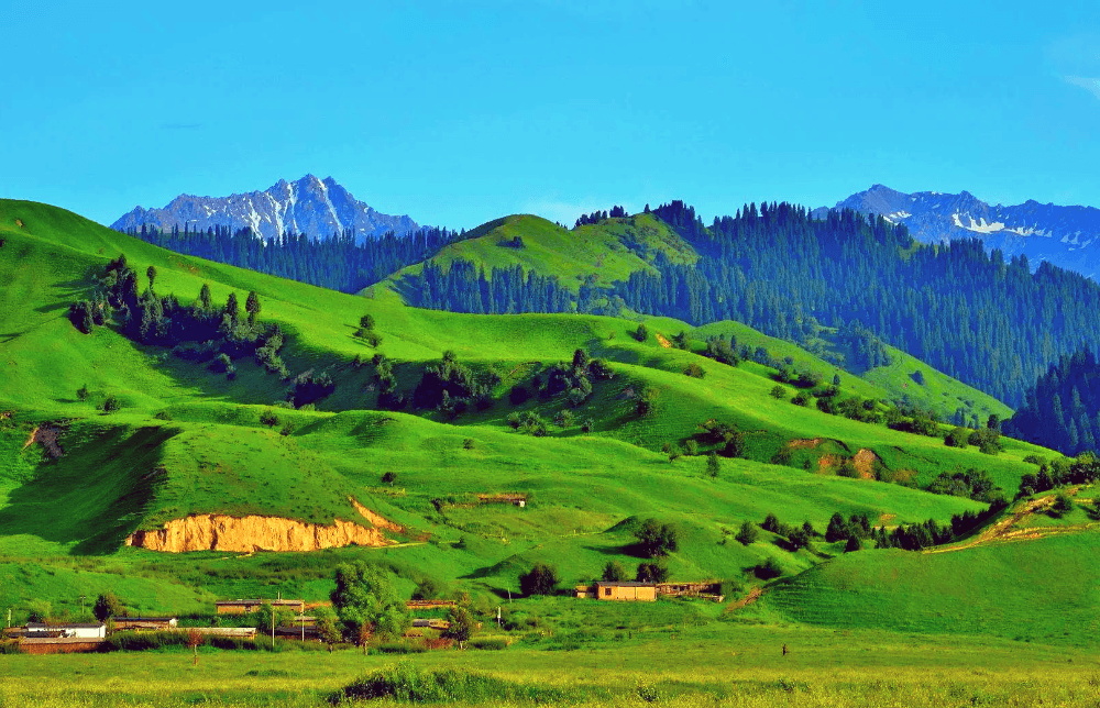 Narat Prairie