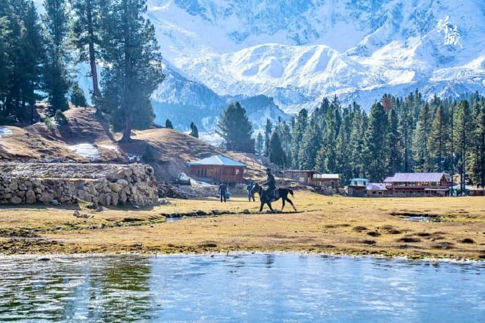 Fairy Meadows