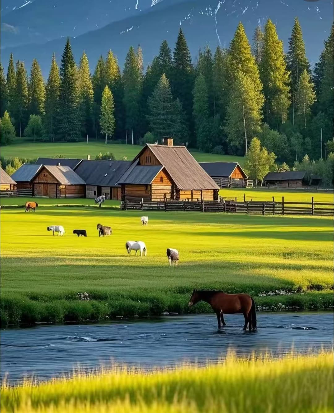 Hemu Village