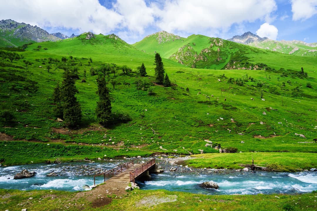Altay