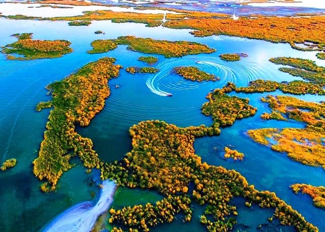 Ulungur Lake