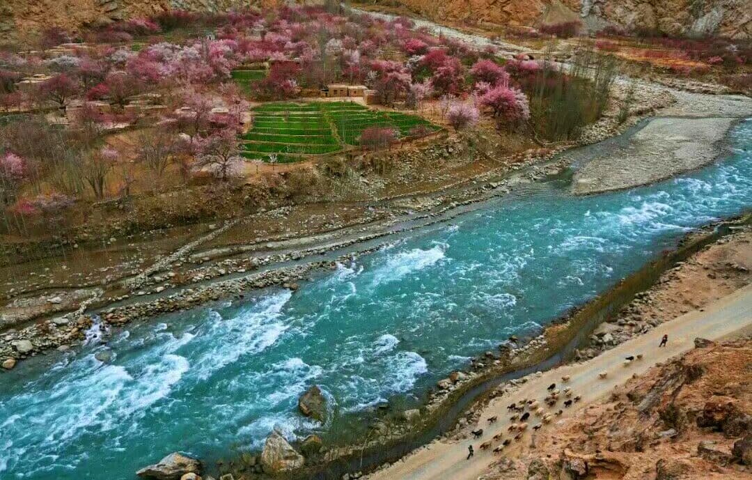 Tajik Township Of Tal