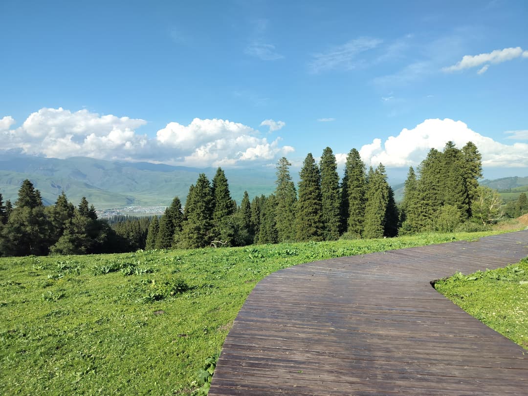 Nalati Grassland
